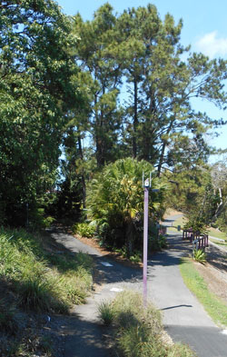 Pathway at the Mackay Botanic Gardens.