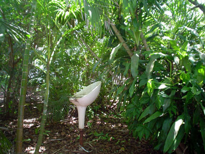 A place to sit in Diana Kupke's secret garden