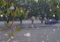 Flooding in Paradise Street, Mackay