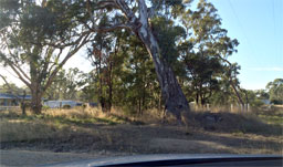 The site in Lexton, Victoria, where the Mann family, led by Isabella nee Hovey, lived.