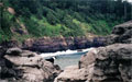 Norfolk Island, home to four of Diana Kupke's convict ancestors.