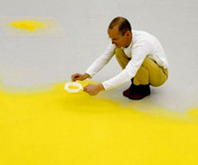 Museum floor covered in pollen