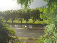 Sunshower in Mackay