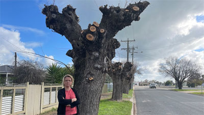 Butchered trees at Tallygaroopna.