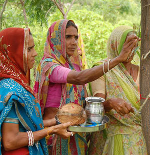 Indian women care for trees