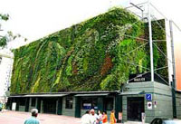 Vertical garden as it is known today
