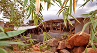 And the bamboo office