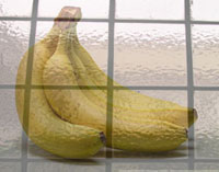 Bananas behind frosted glass
