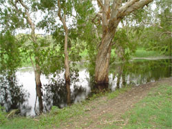 The disappearing lake, now gone forever.