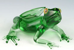 Glass frog by Scott Bisson