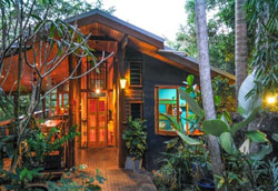 Tree top house near Airlie