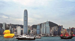 The peripatetic huge yellow duck reaches Hong Kong