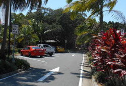 Help to prevent Mackay Library move